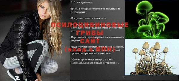 амф Алзамай