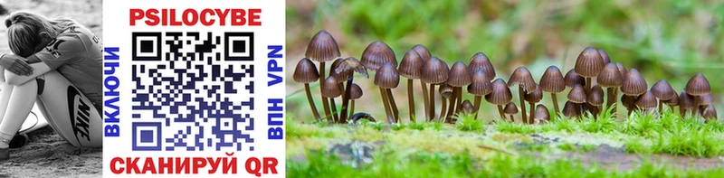 Галлюциногенные грибы Psilocybe Строитель
